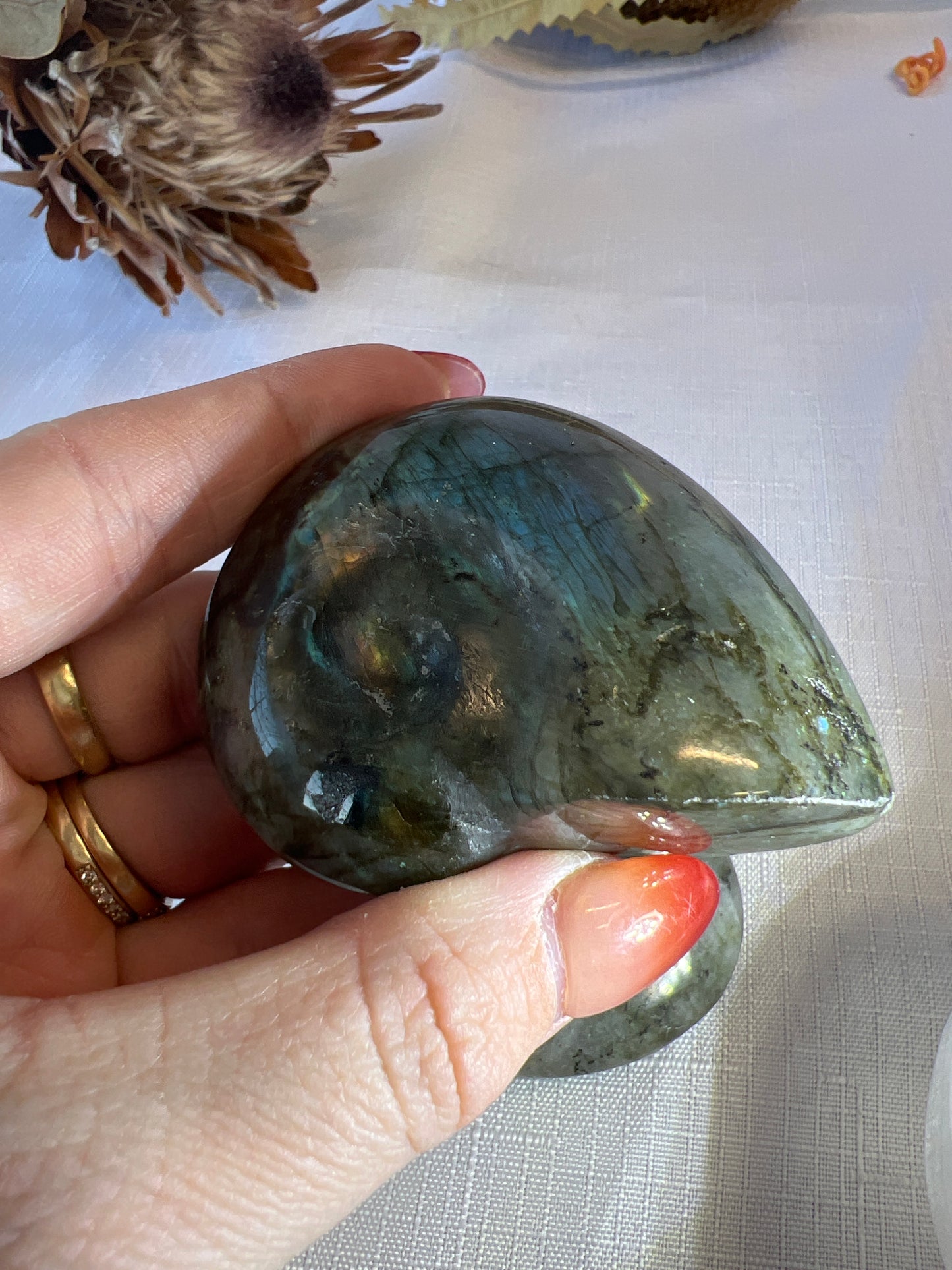 Labradorite Shell Carving