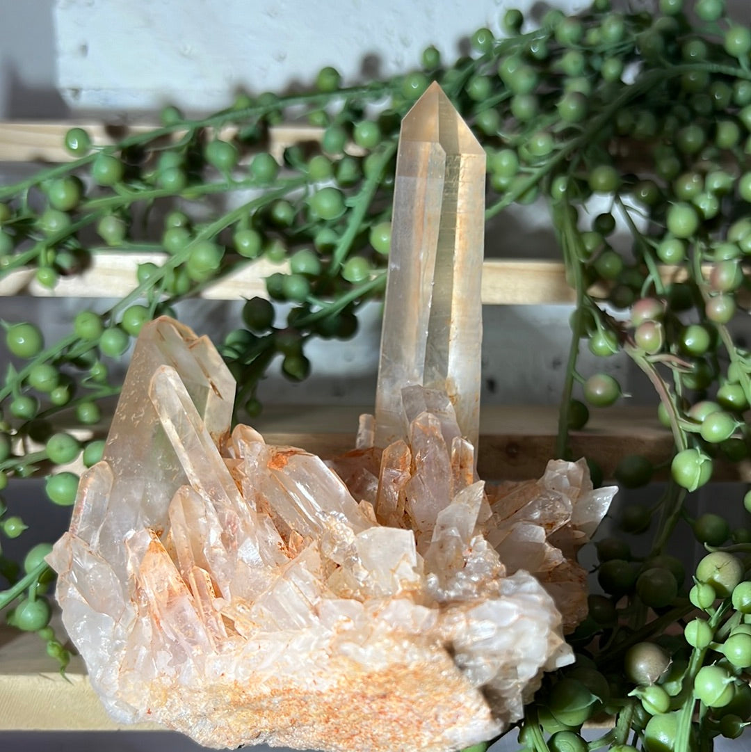 Red Himalayan Quartz Raw Cluster