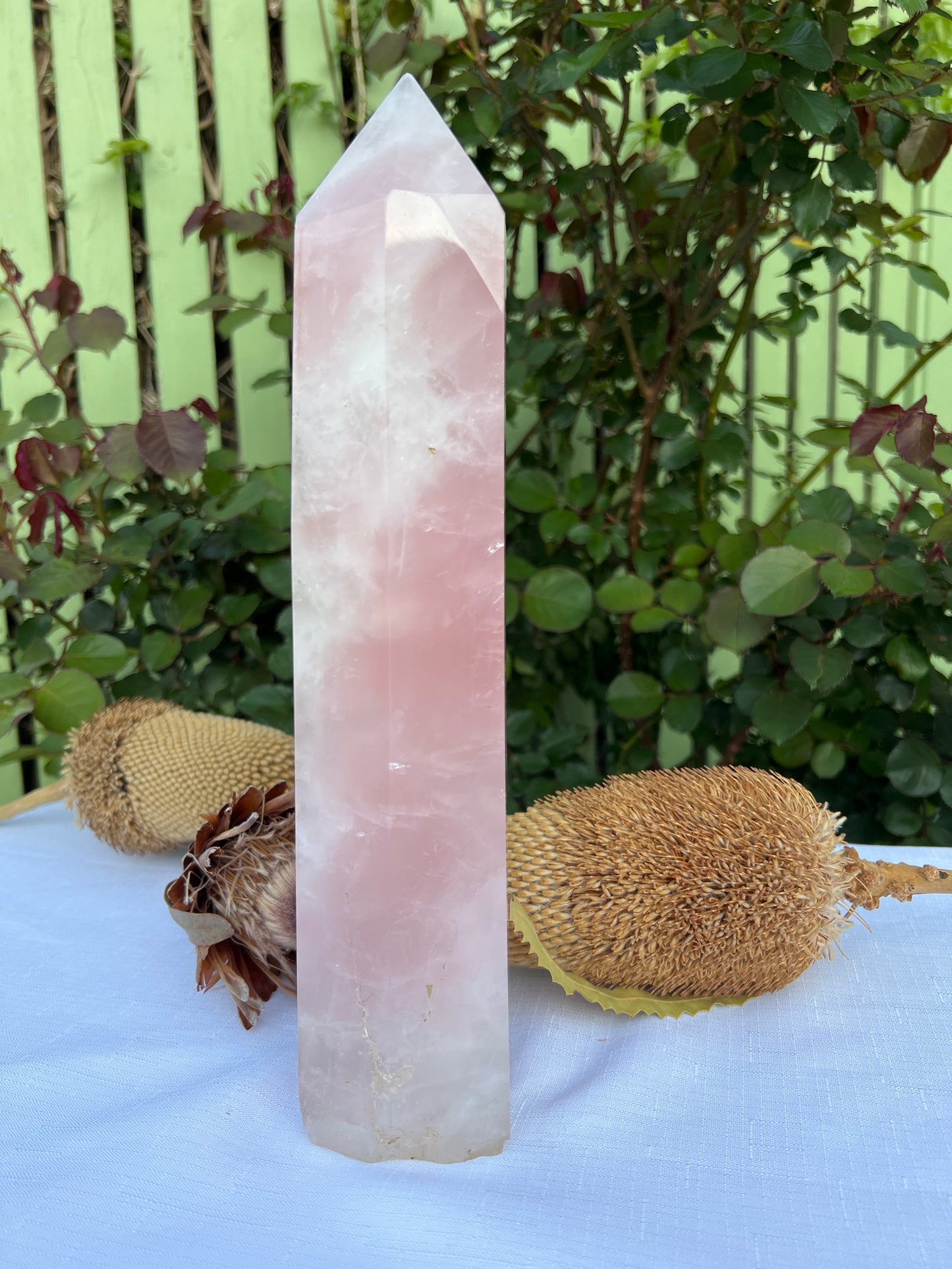 XL Rose Quartz Statement (chipped tip and base ) 2.721g