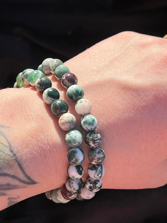 Tree Agate  8mm Beaded Bracelet