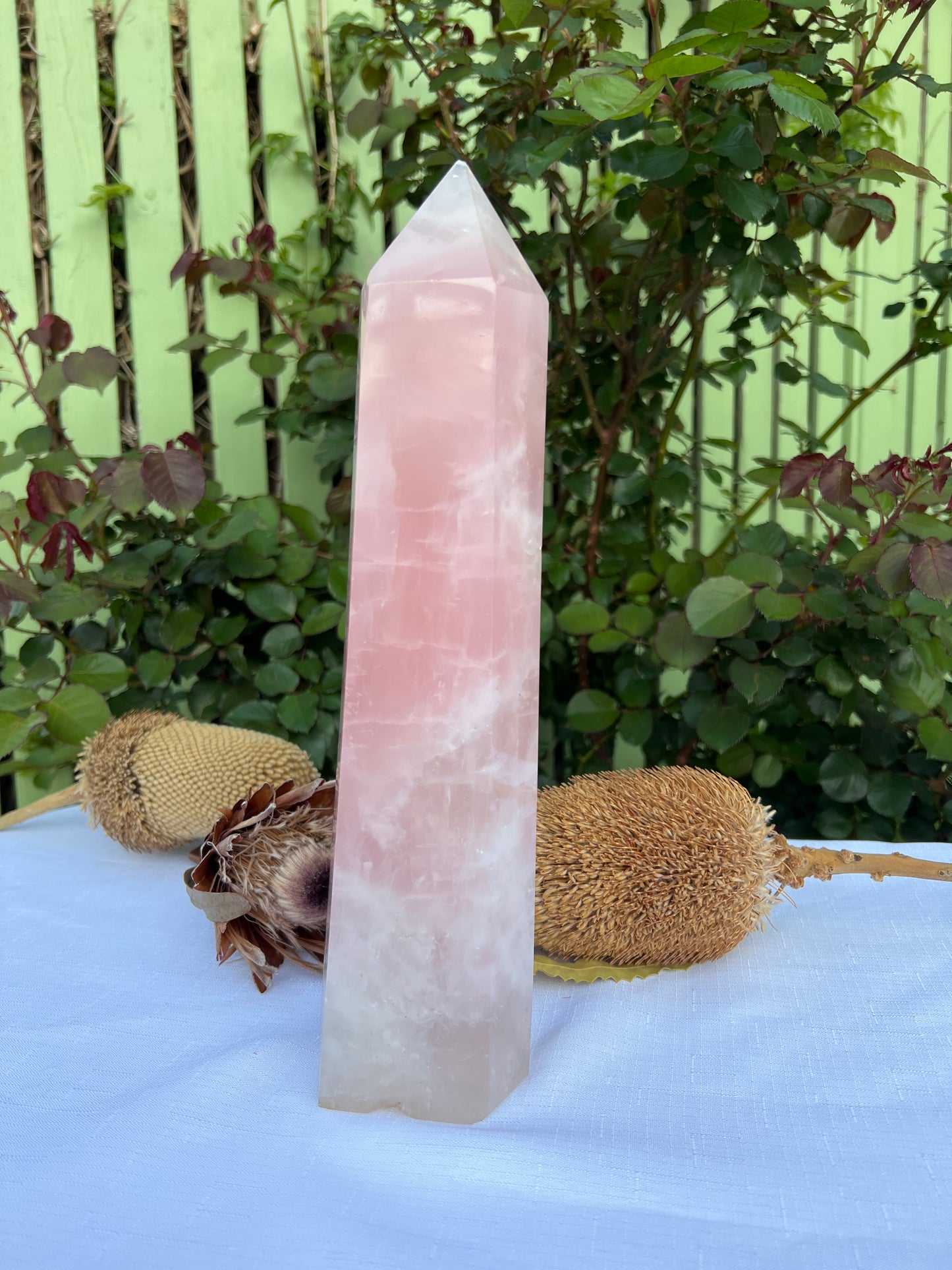 XL Rose Quartz Statement (chipped tip and base ) 2.721g