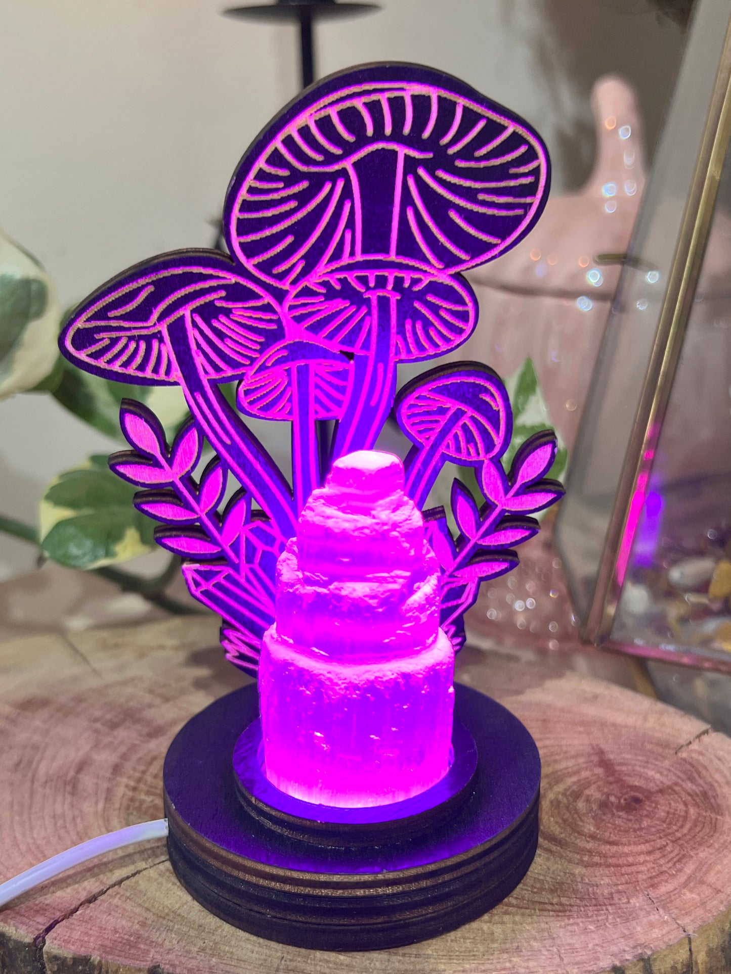 Mushroom LED Lamp light accessories