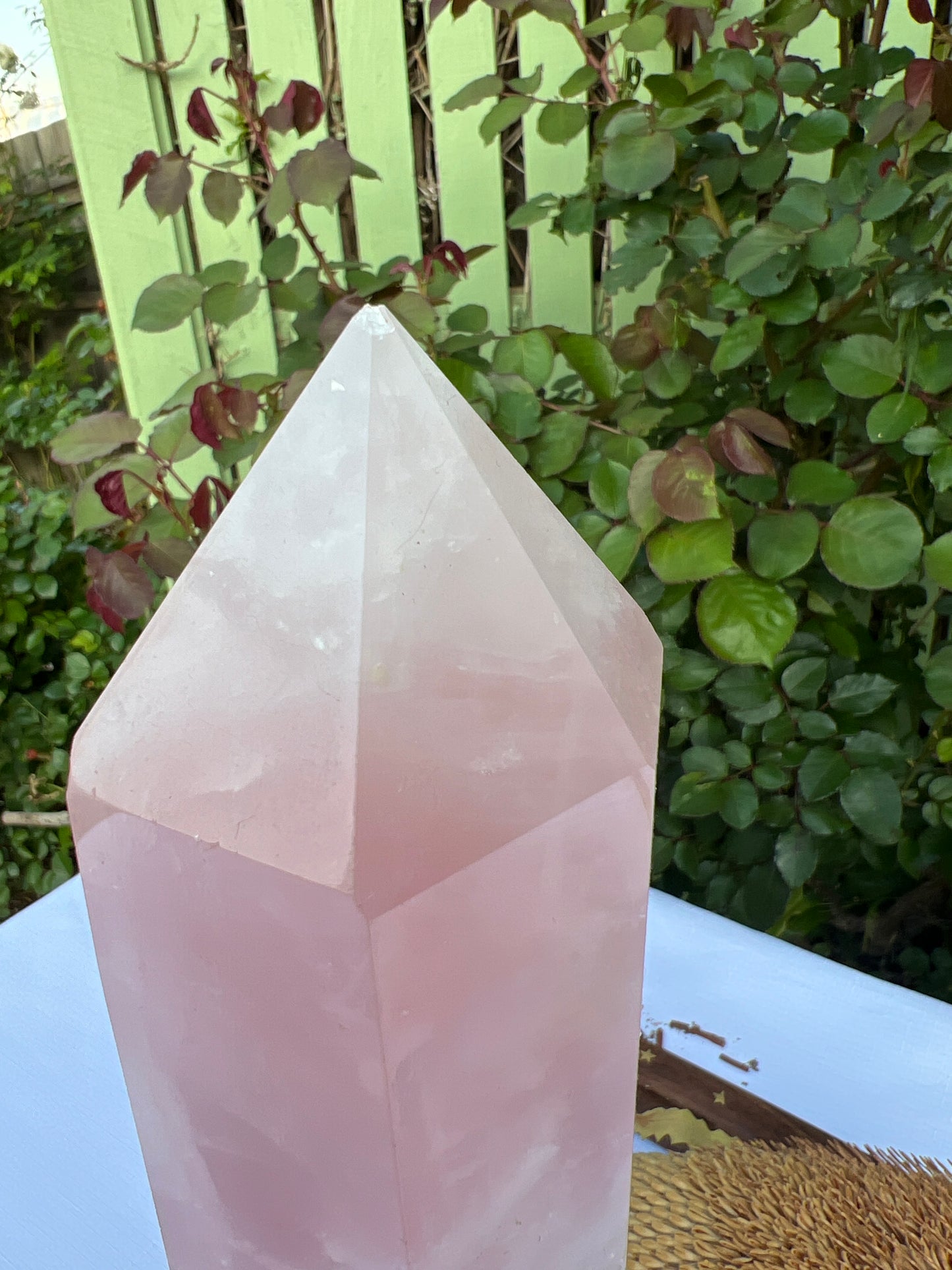 XL Rose Quartz Statement (chipped tip and base ) 2.721g