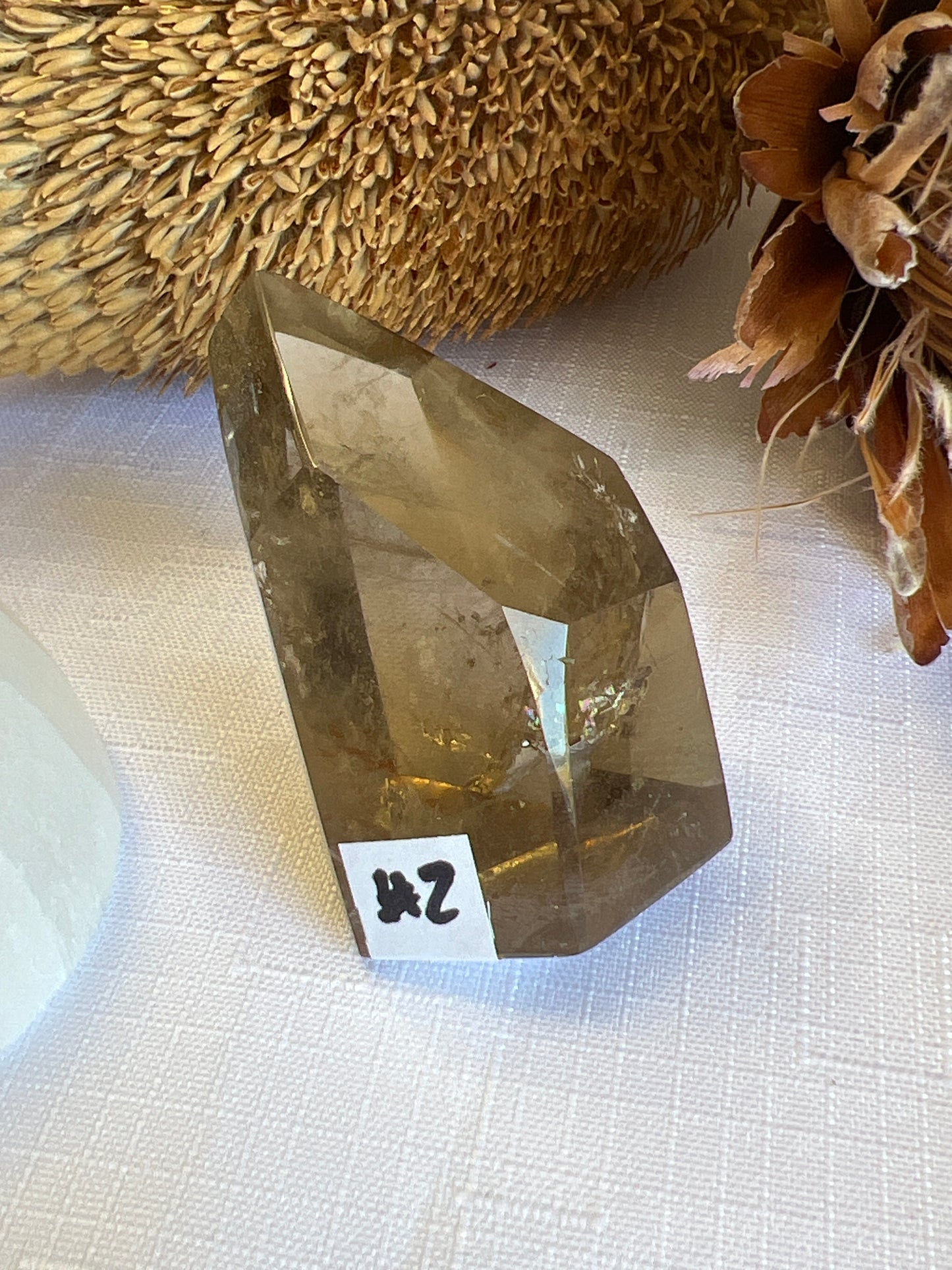 Natural Citrine Freeform Points