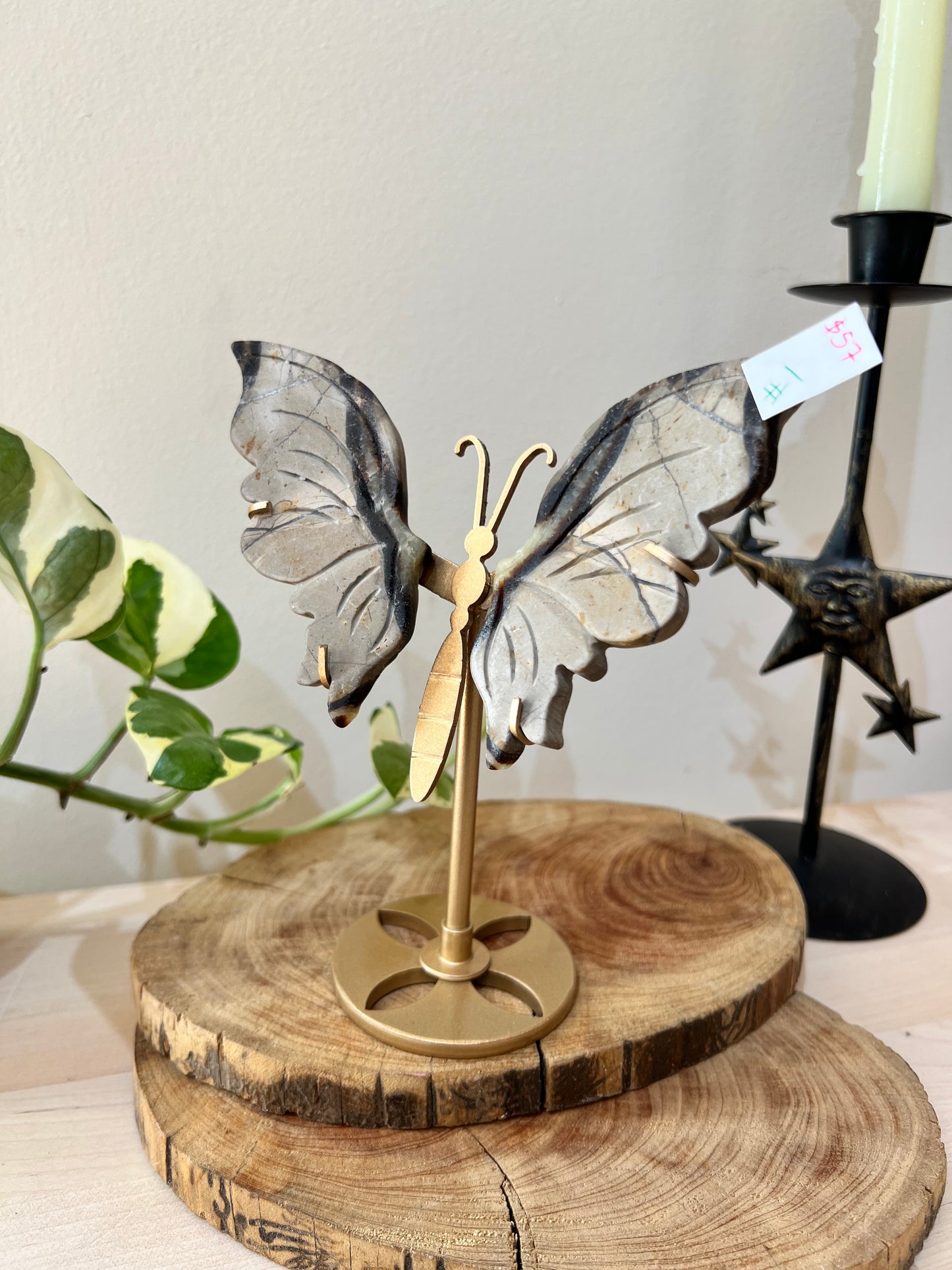 Septarian Butterfly Statement Carving