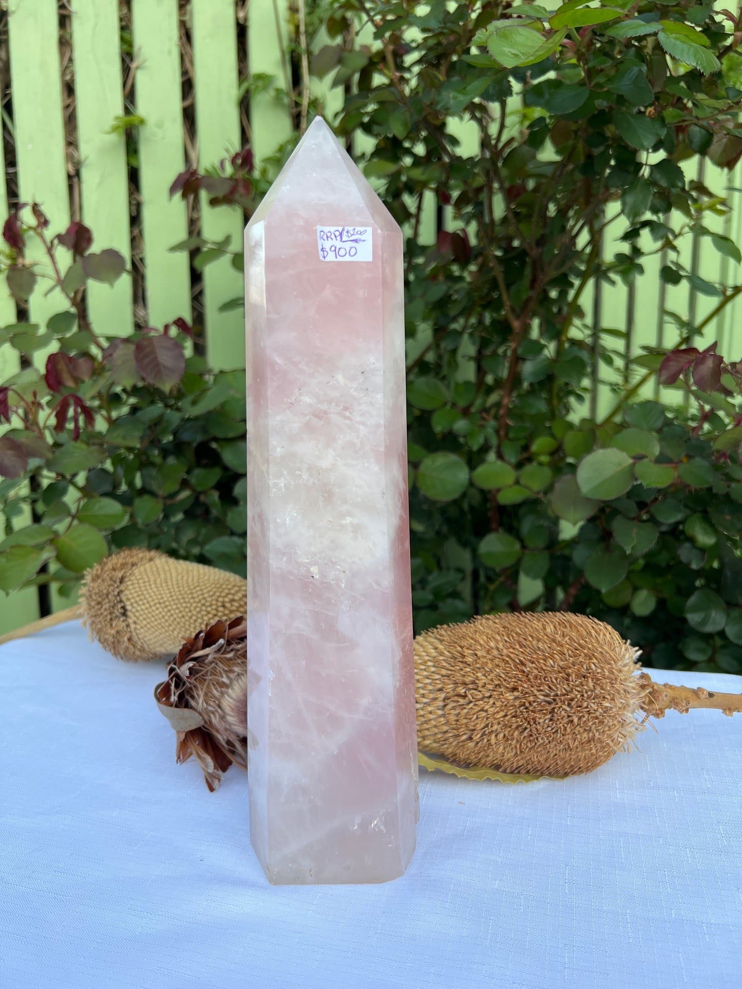 XL Rose Quartz Statement (chipped tip and base ) 2.721g