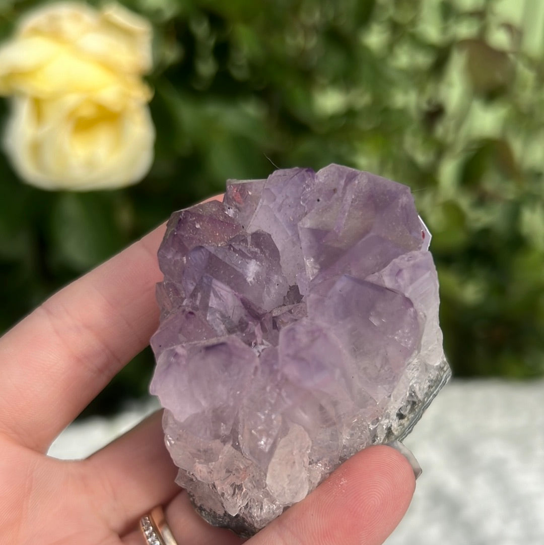 Amethyst cluster