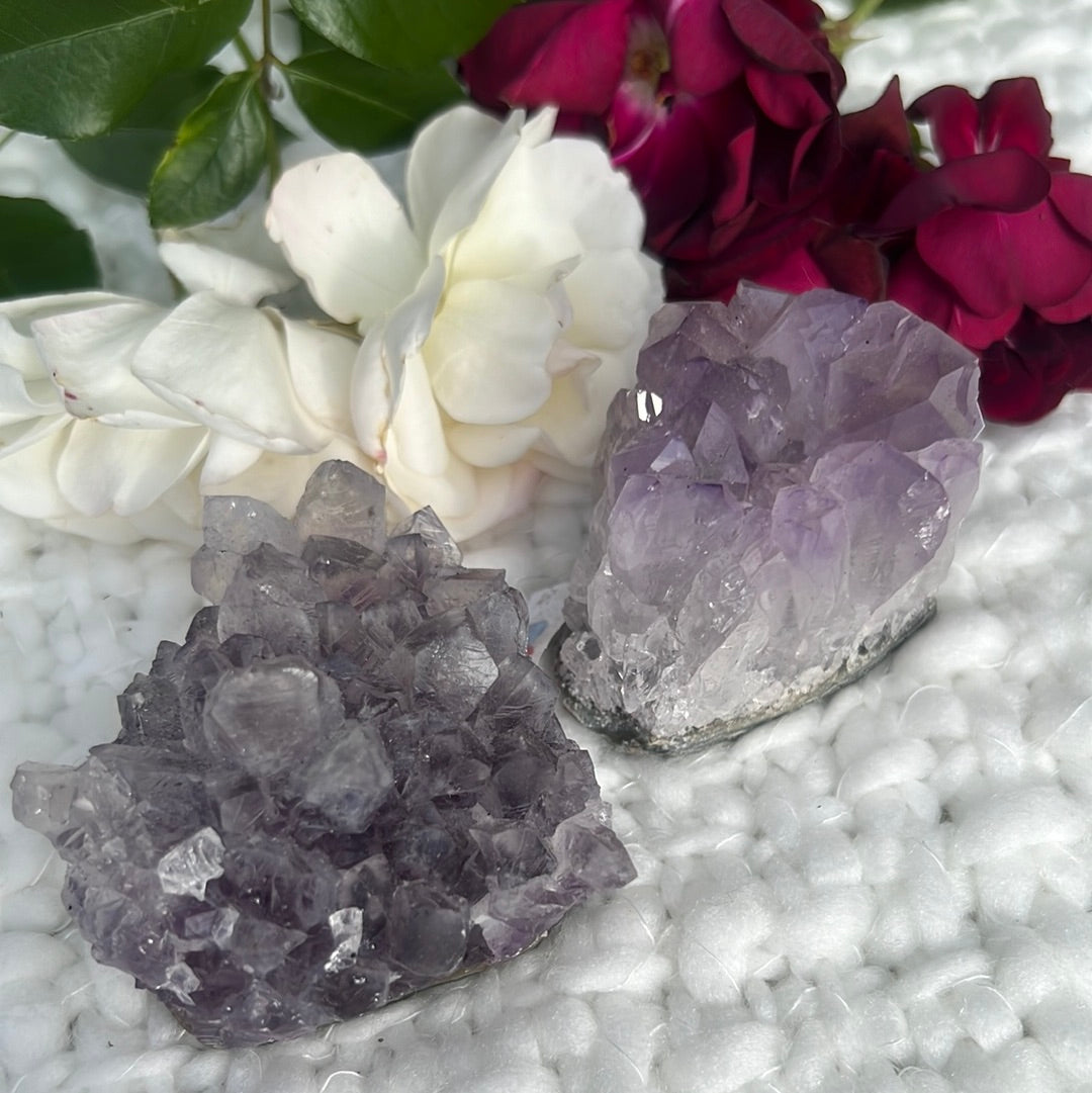 Amethyst cluster