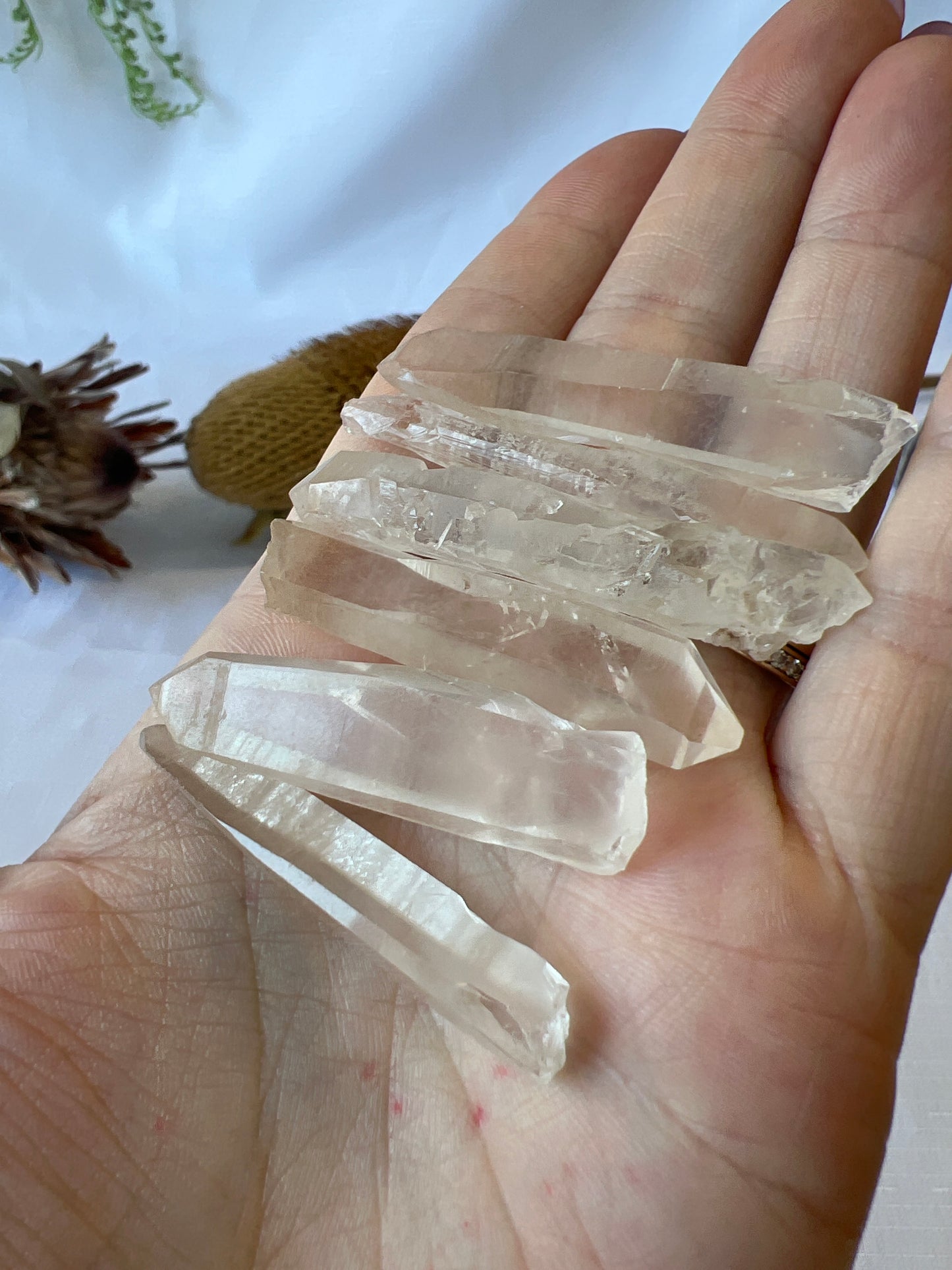 Lemurian Quartz Point Raw