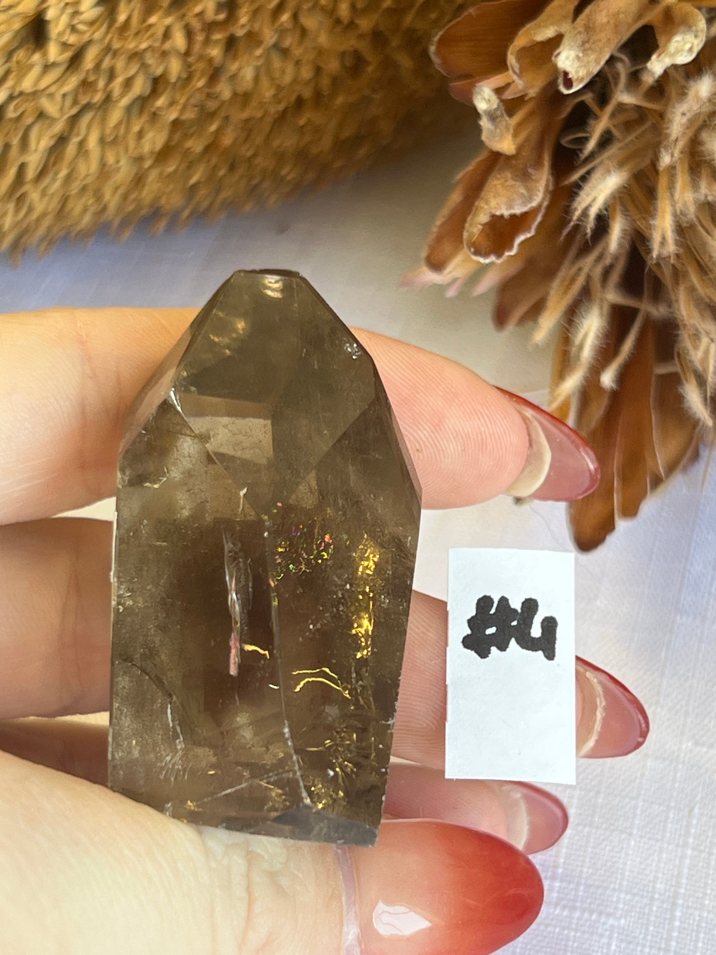 Natural Citrine Freeform Points