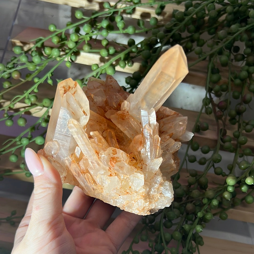 Red Himalayan Quartz Raw Cluster