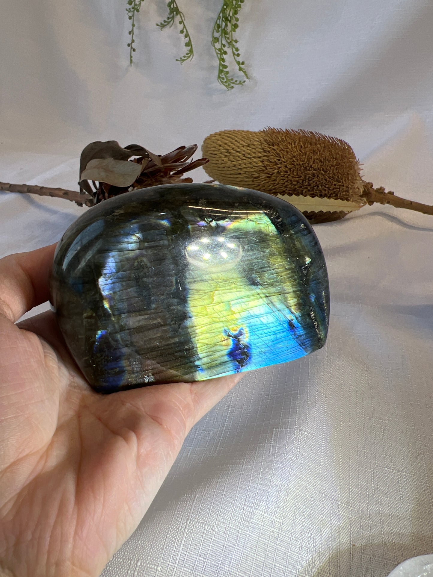 Labradorite Freeform