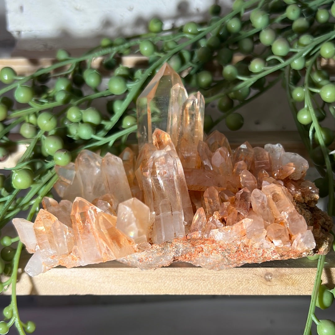 Red Himalayan Quartz Raw Cluster