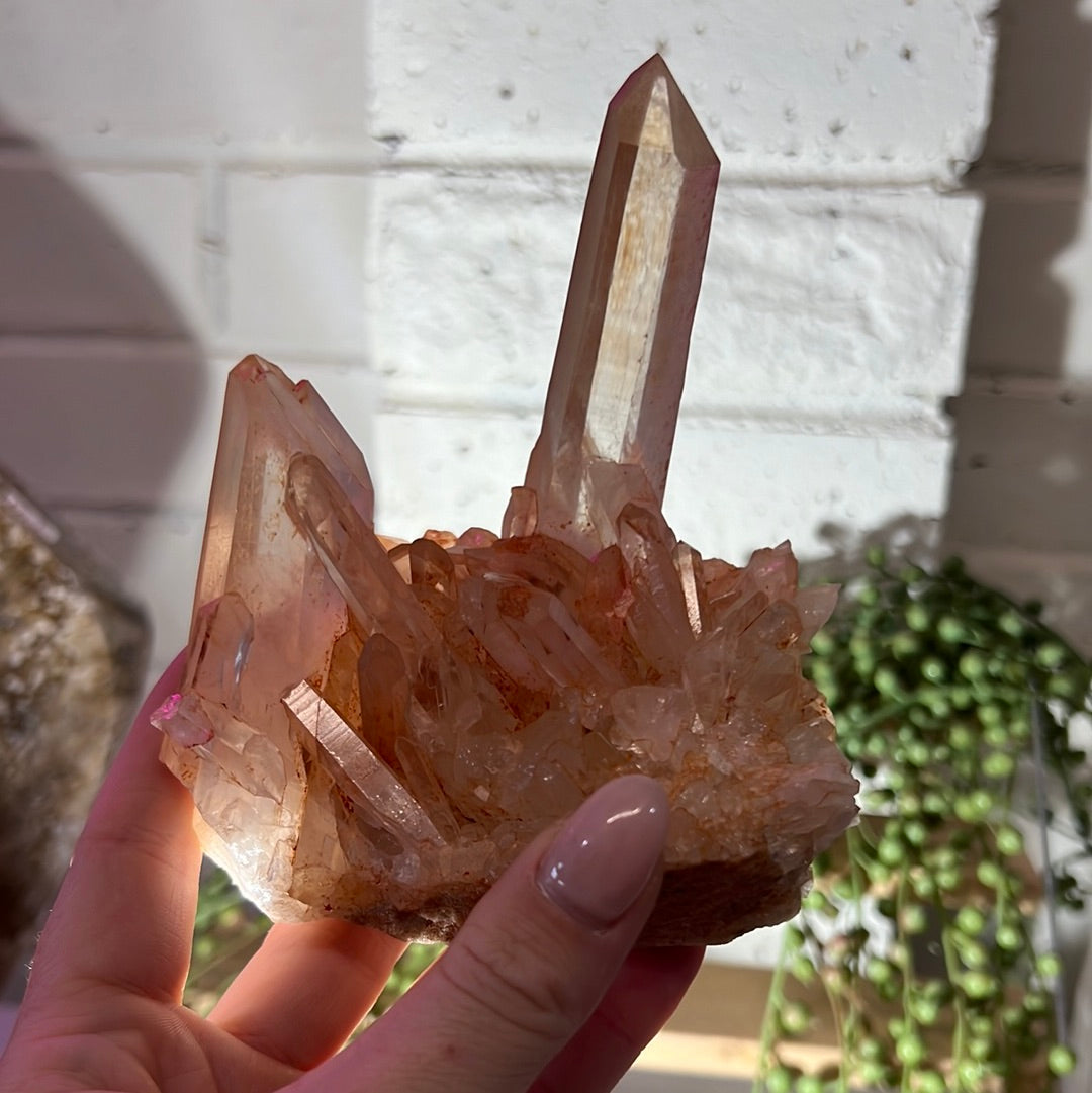 Red Himalayan Quartz Raw Cluster