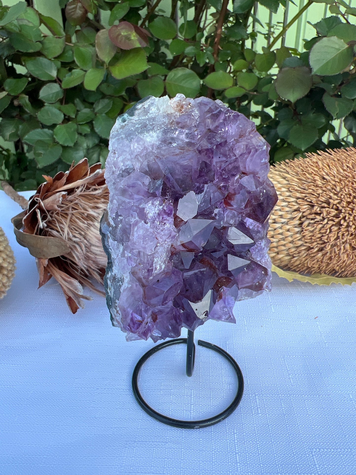 Auralite *RARE* Cluster on stand Statement