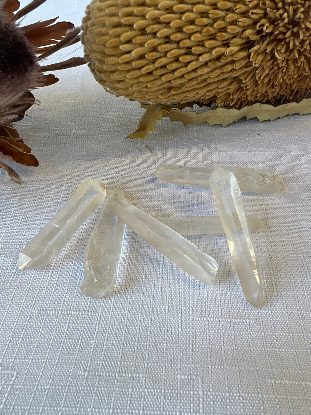 Lemurian Quartz Point Raw
