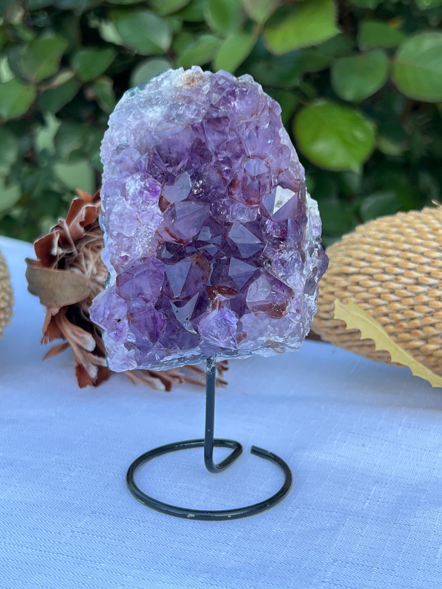 Auralite *RARE* Cluster on stand Statement