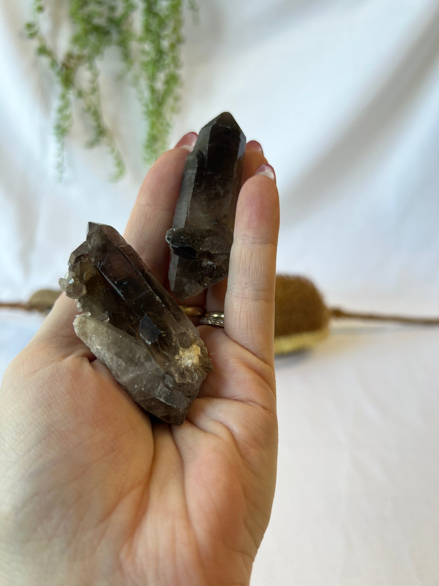 Smokey Quartz Cluster Points