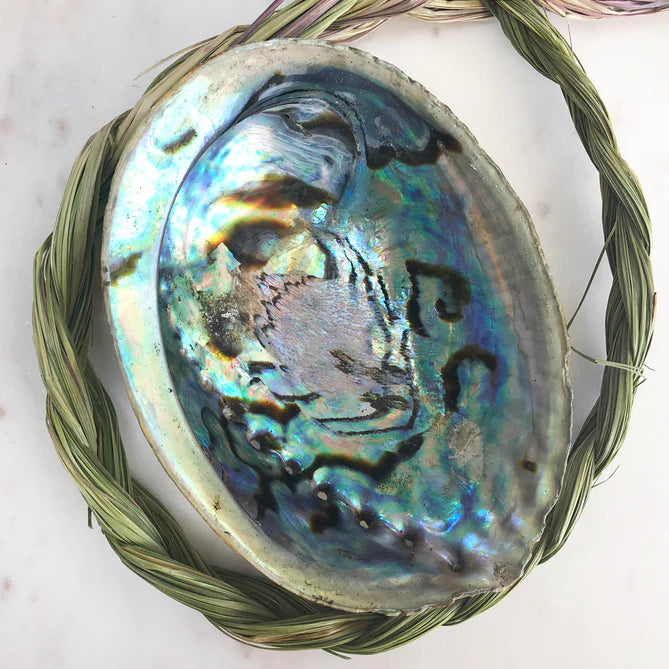 Abalone Shell Bowl - Natural/Unpolished